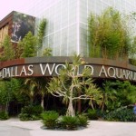 dallas-world-aquarium